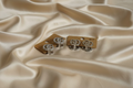 GiGi Silver Earrings