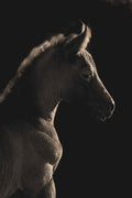 A Moment in Time by Robert Dawson