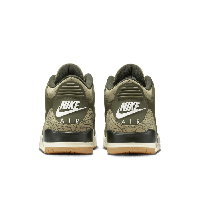 Air Jordan 3 Retro 'Family Affair'