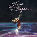 Alex G "House of Sugar" 12" Vinyl