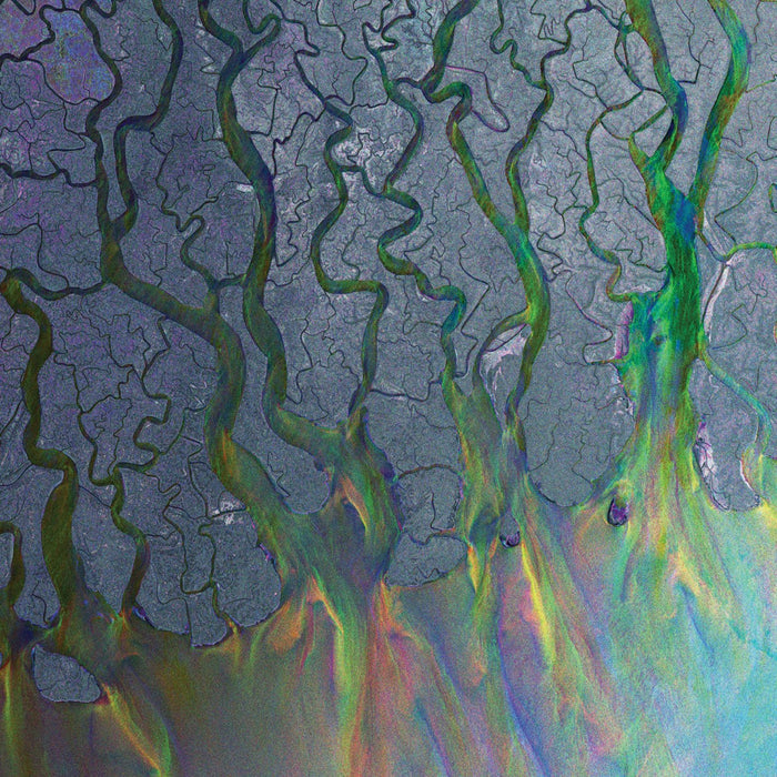 Alt-J An Awesome Wave on Vinyl