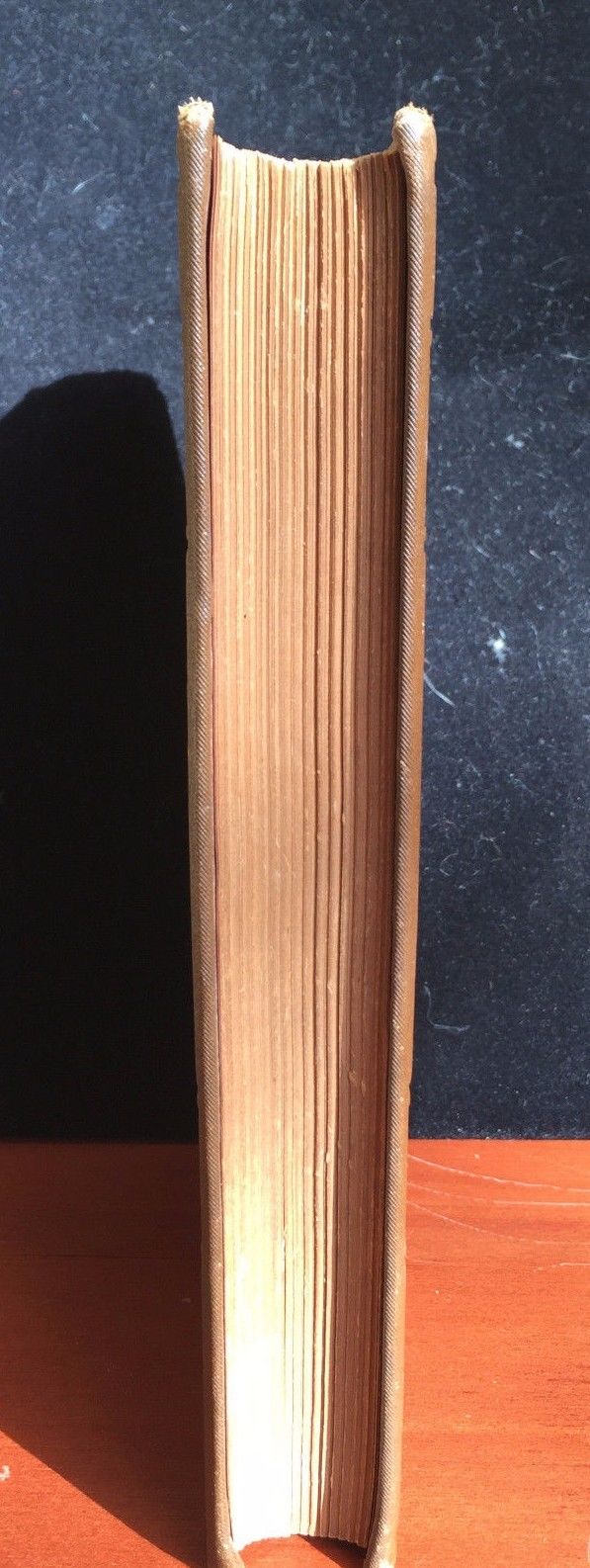 BEETHOVEN: A BIOGRAPHICAL ROMANCE, By H. Rau, 1st / 1st, 1880
