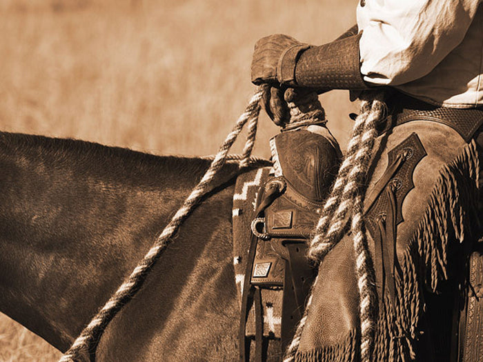 Buckaroo I by Robert Dawson