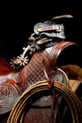 California Spurs by Robert Dawson
