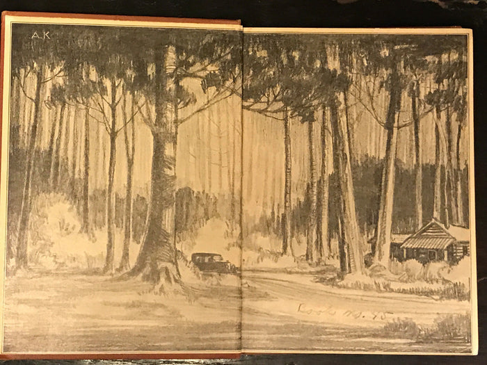 CHILDREN OF THE PINES by Arland Weeks, 1st / 1st 1926, Minnesota Woods Photos