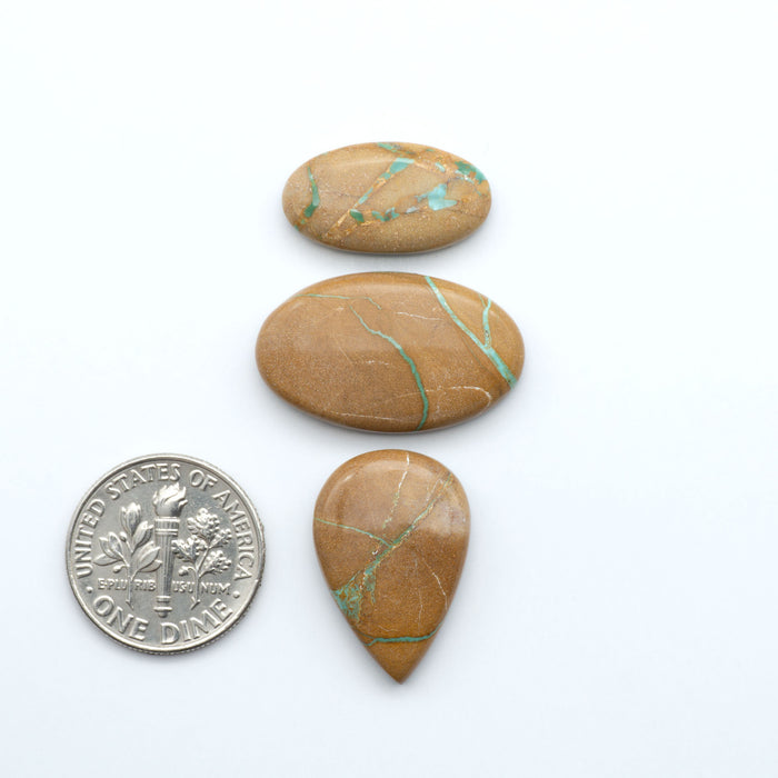 Crow Springs Ribbon turquoise cabochons, rich color with distinctive matrix, polished stones on white background with US dime for scale