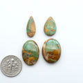 Natural Crow Springs Turquoise Cabochons, polished green gemstones with a brown matrix on a white background, with a US dime for scale