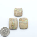 Crow Springs Ribbon Turquoise cabochons, rich color with distinctive matrix, polished stones on a white background, with a US dime for scale
