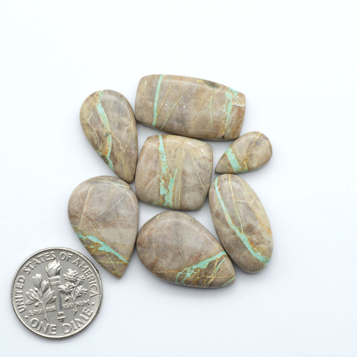 Crow Springs Ribbon turquoise cabochons, rich color with distinctive matrix, polished stones on white background with US dime for scale