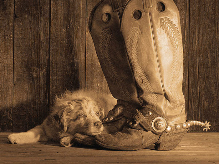 Dixie Sepia by Robert Dawson