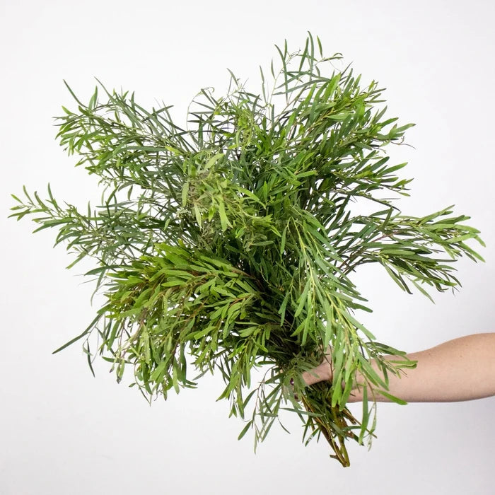 Feather Wedding Eucalyptus Greenery DIY Flower Kit in Hand