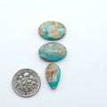 Fox Turquoise cabochons, polished gemstones with natural matrix on a white background, with a US dime for scale
