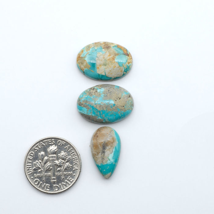 Fox Turquoise cabochons, polished gemstones with natural matrix on a white background, with a US dime for scale