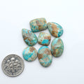 Fox Turquoise cabochons, polished gemstones with natural matrix on a white background, with a US dime for scale