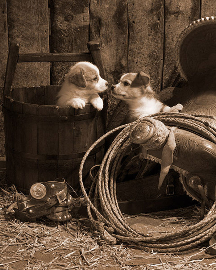 How Bout a Kiss Sepia by Robert Dawson