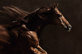 Into the Wind by Robert Dawson