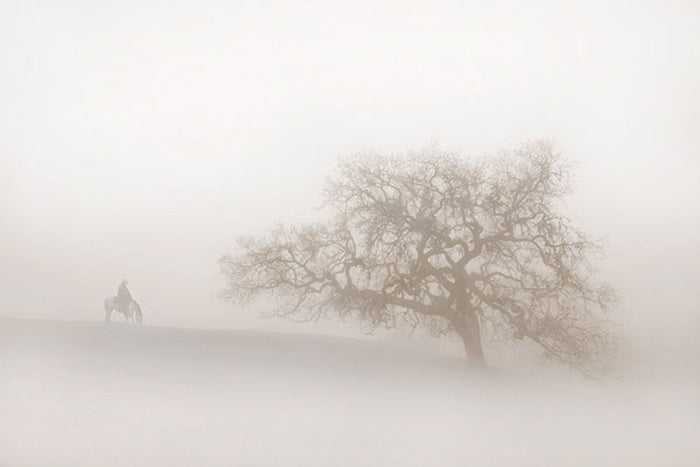 Lonely Days by Robert Dawson