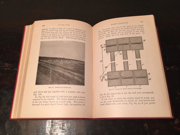 NEW EGG FARM by H.H. Stoddard 1906 HC 150 Illlustrations Poultry Farming SCARCE