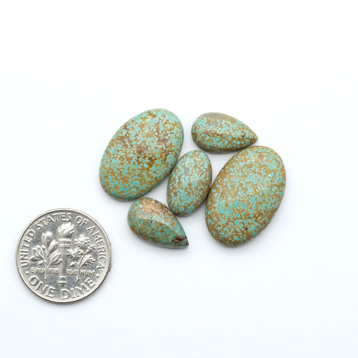Number 8 Turquoise cabochons, blue and green color with brown matrix, polished stones on a white background, with a US dime for scale
