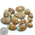Number 8 Turquoise cabochons, blue and green color with brown matrix, polished stones on a white background, with a US dime for scale