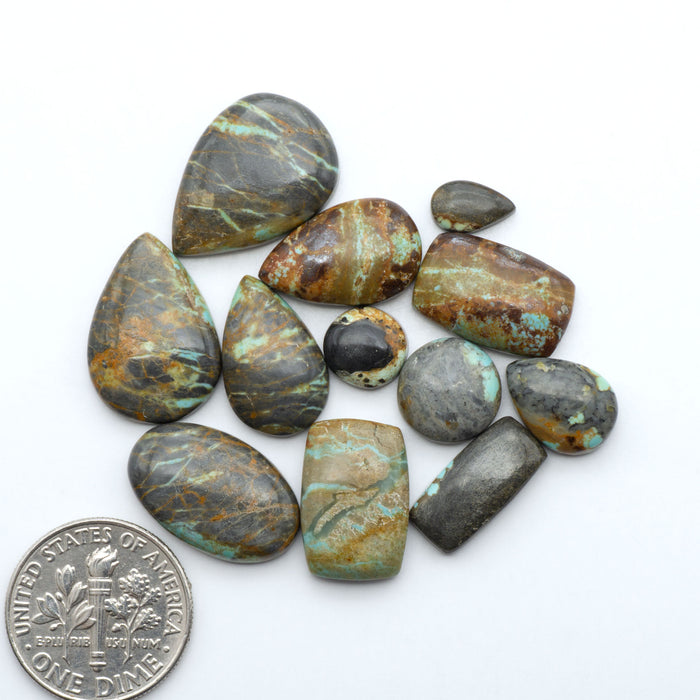 Number 8 Turquoise cabochons, blue and green color with brown matrix, polished stones on a white background, with a US dime for scale