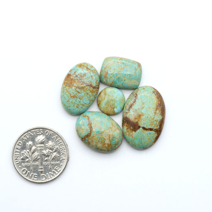 Number 8 Turquoise cabochons, blue and green color with brown matrix, polished stones on a white background, with a US dime for scale