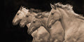 Pretty Girls - Sepia Tone by Robert Dawson