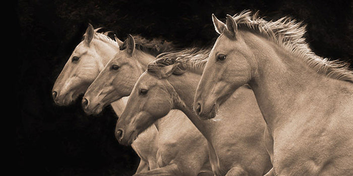 Pretty Girls - Sepia Tone by Robert Dawson