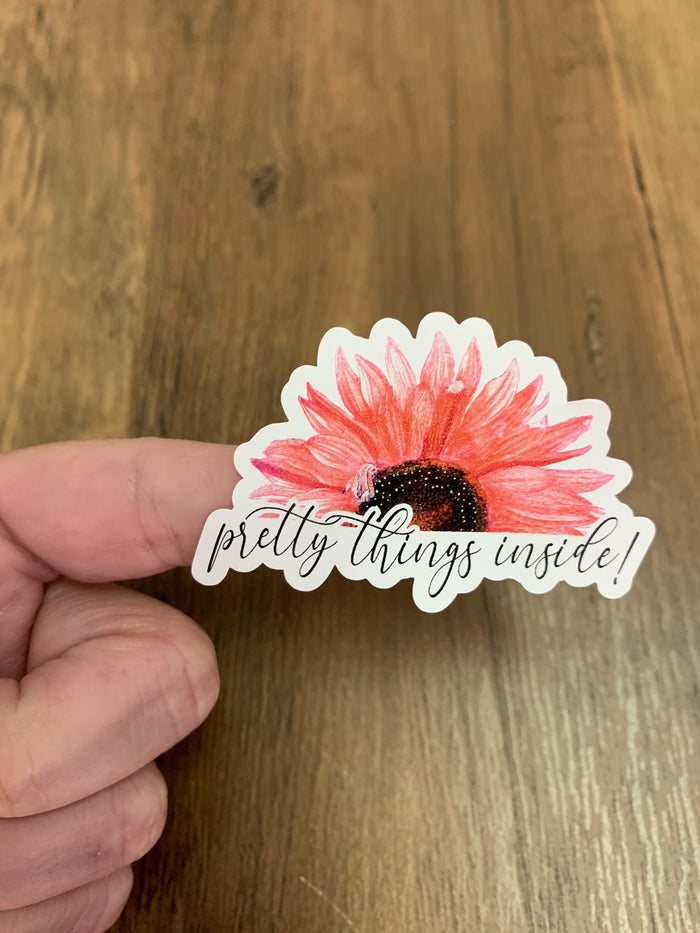 Pretty Things Inside  100CT