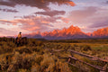 Ridin Fences 1 by Robert Dawson