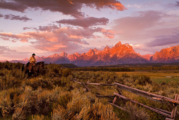 Ridin Fences 1 by Robert Dawson
