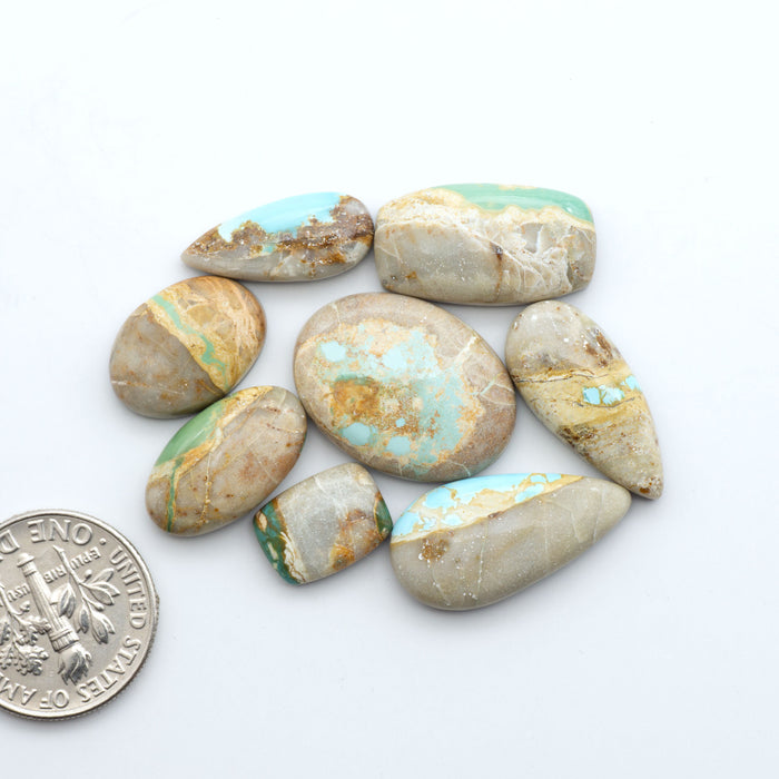 Royston Turquoise cabochons, blue-green color with natural matrix, polished stones on a white background, with a US dime for scale