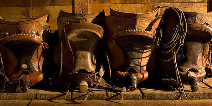 Saddle Row by Robert Dawson