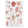 Sally Eckman Roberts Seashell Guide 100% Cotton Flour Sack Kitchen Towel