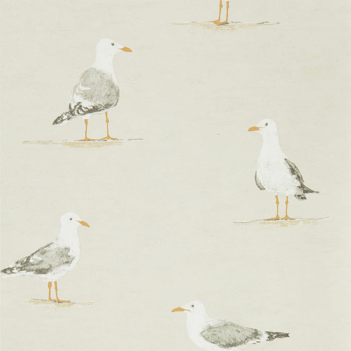 Shore Birds Wallpaper