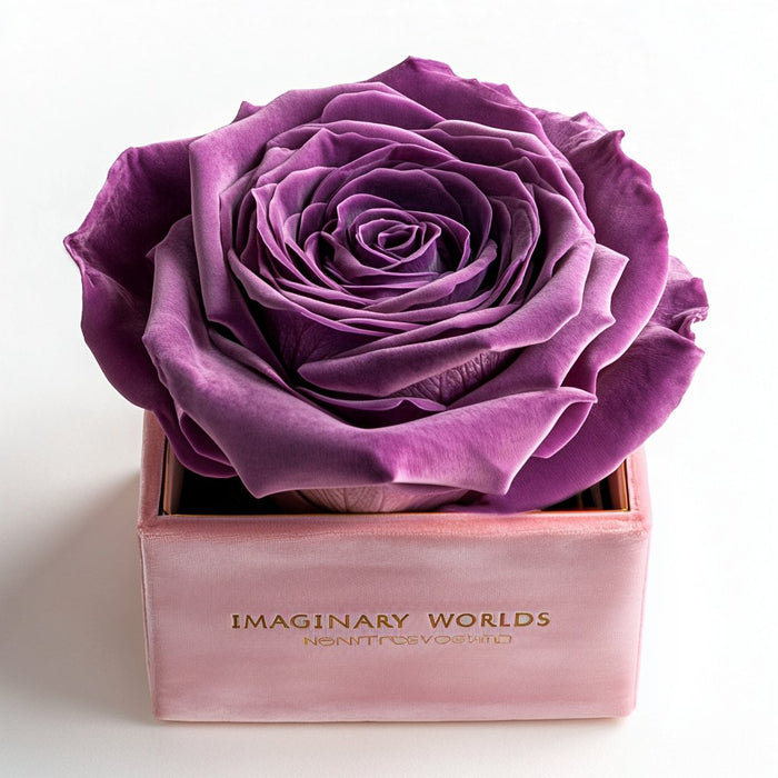 Single Purple Rose Barbie Box - Imaginary Worlds