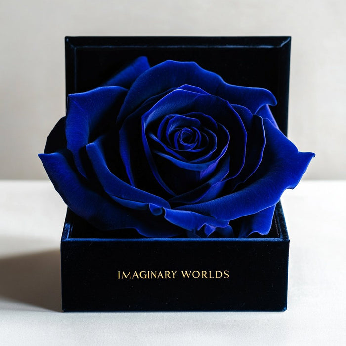 Single Royal Blue Rose Silk Box - Imaginary Worlds