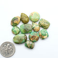 Sonoran Mountain Turquoise cabochons, blue-green color with natural matrix, polished stones on a white background, with a US dime for scale