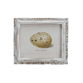 Speckled Eggs Framed Artwork