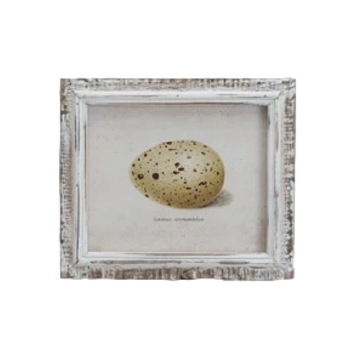 Speckled Eggs Framed Artwork