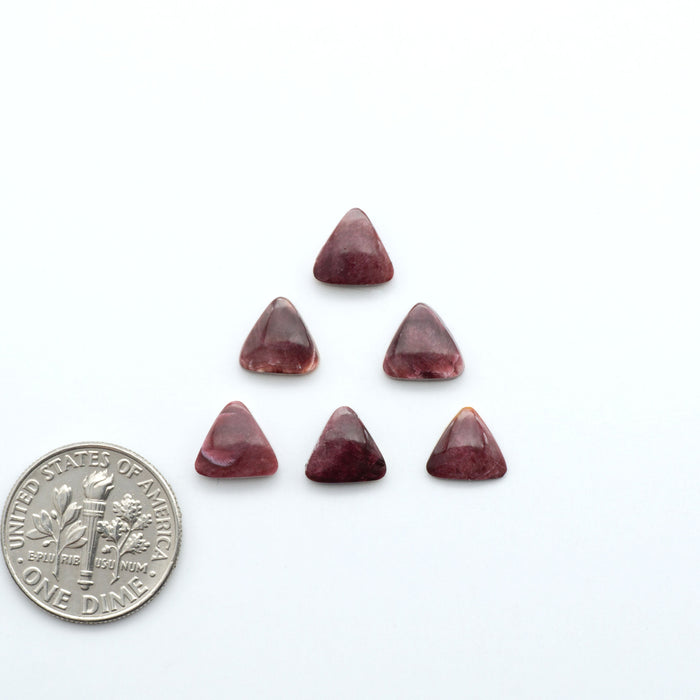 Add a unique touch to your jewelry designs with our beautiful 100% Natural Spiny Oyster Shell Cabochons. Incorporate the beauty of the sea into your creations.