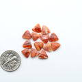 Add a unique touch to your jewelry designs with our beautiful 100% Natural Spiny Oyster Shell Cabochons. Incorporate the beauty of the sea into your creations.