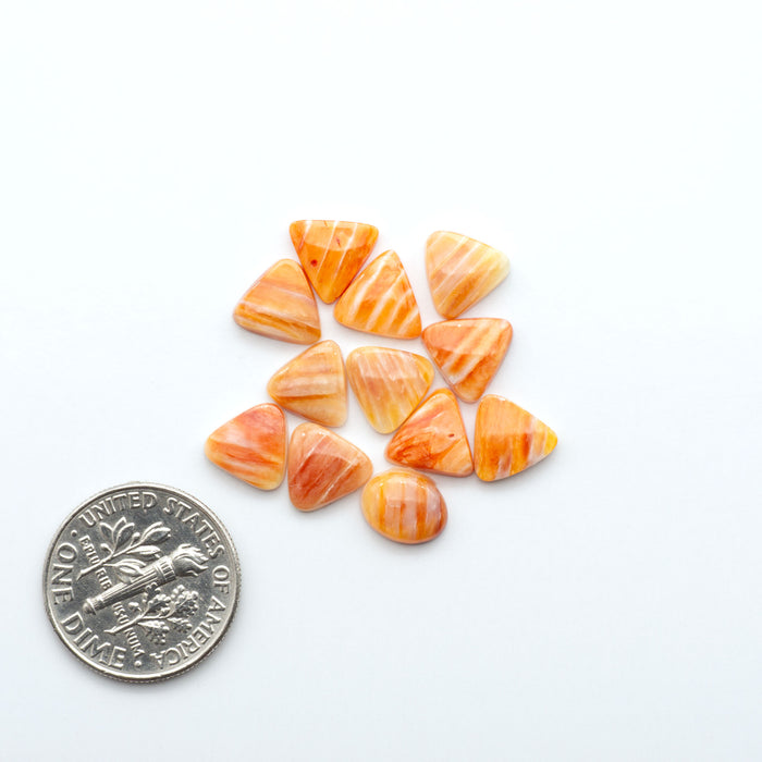 Spiny Oyster Cabochons Add a unique, natural touch to your jewelry designs with our Spiny Oyster Cabochons.