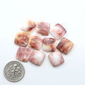 Purple Spiny oyster shell cabochons, on a white background with a US dime for scale