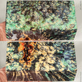 Stabilized box elder burl wood block