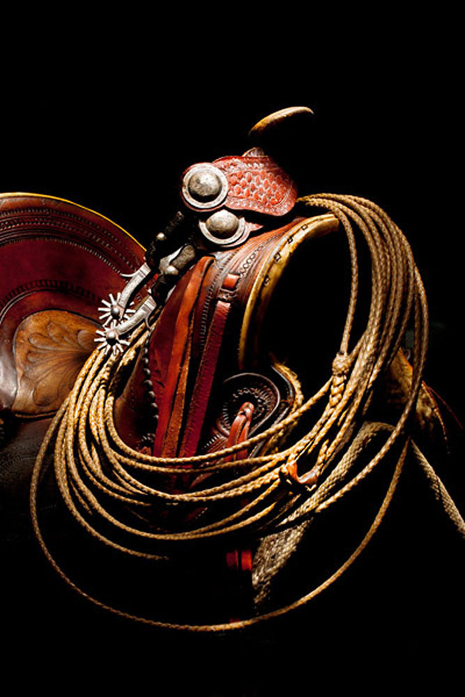 Teddy Jacks Gear by Robert Dawson