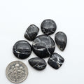 White Buffalo stone cabochons, white stone with black matrix, polished stones on a white background, with a US dime for scale