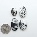 White Buffalo stone cabochons, white stone with black matrix, polished stones on a white background, with a US dime for scale