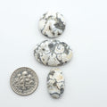 White Buffalo stone cabochons, white stone with black matrix, polished stones on a white background, with a US dime for scale