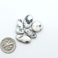 White Buffalo stone cabochons, white stone with black matrix, polished stones on a white background, with a US dime for scale